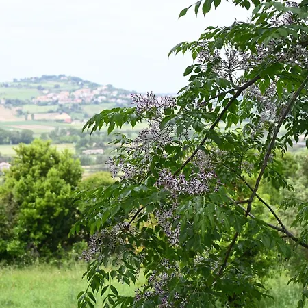 Apartament N260 - Numana, Ampio Quadrilocale In Aperta Campagna Casa Petromilli